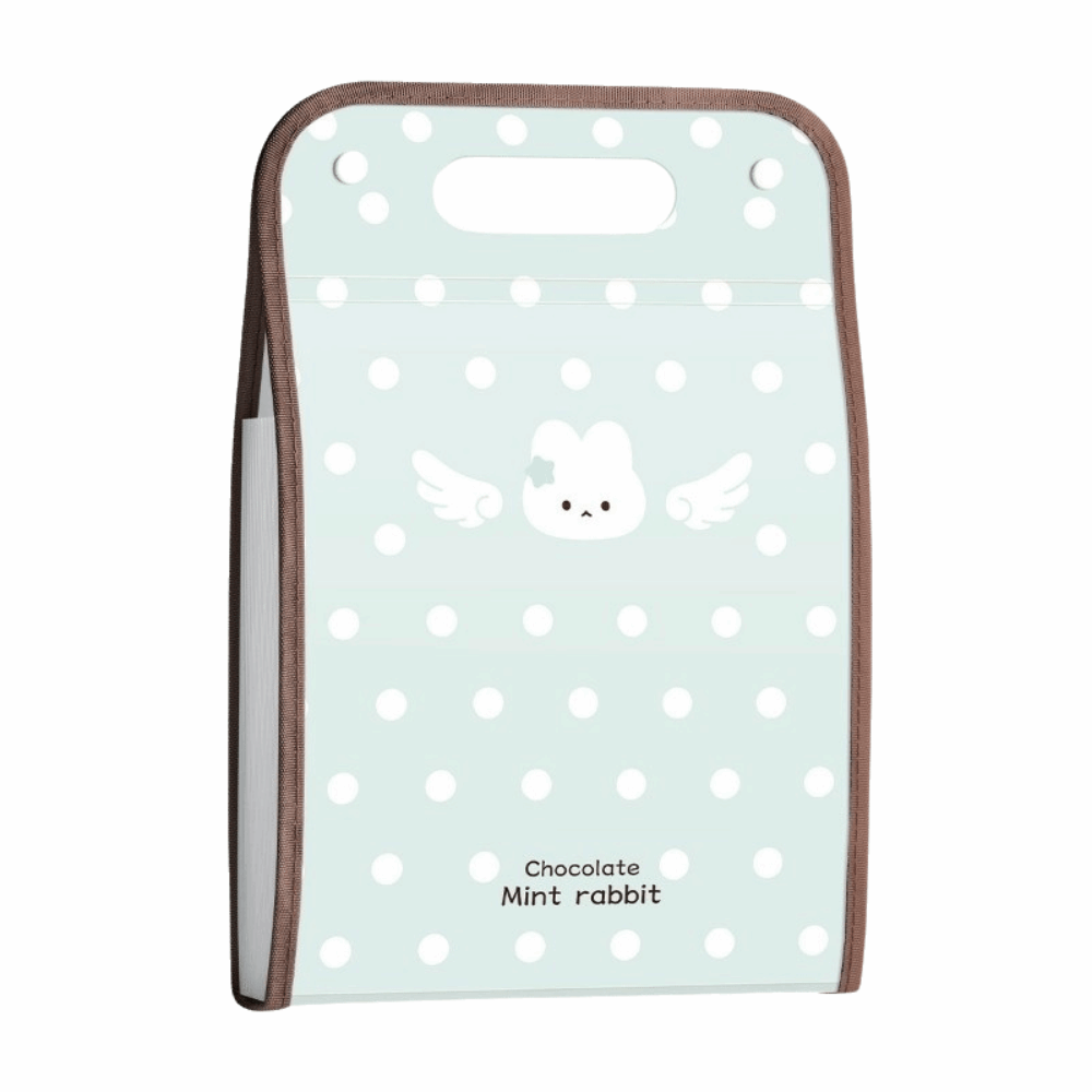 Uitbreidbare Polka Point Expan - Expandable Accordion File Folder 13 Pockets recensie en prijs